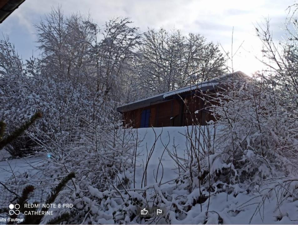 Les Abris De La Hulotte Villa Anould Bagian luar foto